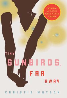 Cover of Tiny Sunbirds Far Away by Christie Watson showing a vibrant African landscape with warm tones and distant palm trees