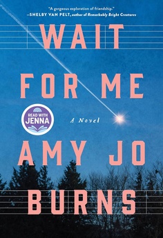 Wait for Me by Amy Jo Burns book cover � historical fiction novel set in rural Pennsylvania exploring family secrets, faith, resilience, and coming of age
